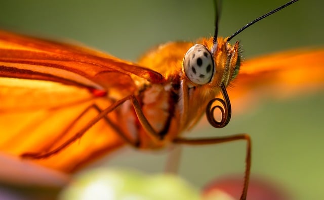 På opdagelse: Disse 7 detaljer gik næsten ubemærket i the bear